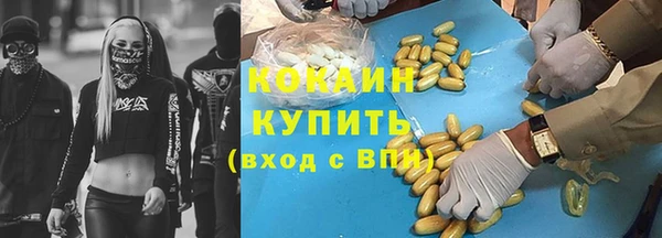 гидра Абаза