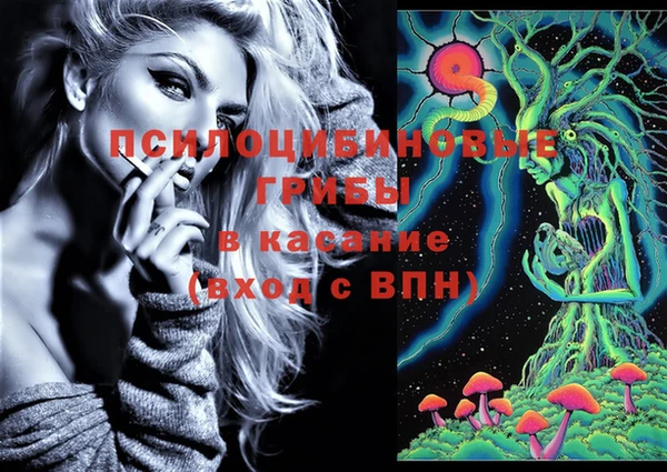 ГАЛЛЮЦИНОГЕННЫЕ ГРИБЫ Алексин