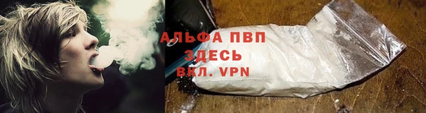 гидра Абаза