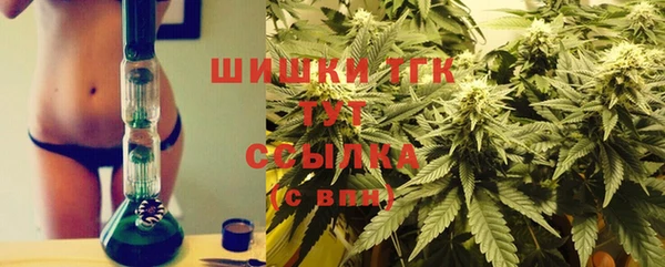 гидра Абаза