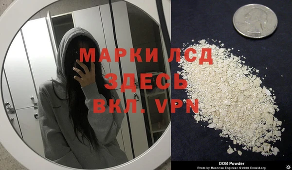 гидра Абаза